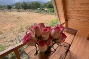 کلبه چوبی دوبلکس در گرگان