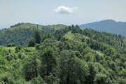 ویلا مبله دو خواب جنگلی فردین در ماسال