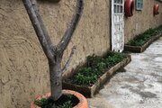باغ ویلا سه خواب مبله در قائمشهر