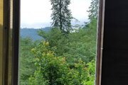 کلبه چوبی تکخواب مبله رویایی جنگلی در سوادکوه
