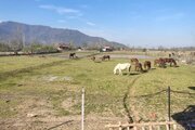 واحد مبله دوخواب در طبقه همکف ویلای ماسال