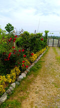 واحد دو خواب افرا در طبقه اول ویلای لیسار