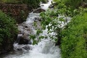 آپارتمان مبله تک خواب کارزان در پاوه