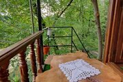 کلبه درختی جکوزی دار داروگ در شیرگاه