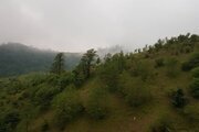 کلبه چوبی ییلاقی در اولسبلنگاه