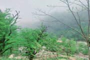 واحد دو خواب در طبقه همکف ویلا فومن