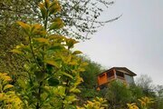 کلبه دوبلکس دوخواب مبله در سوادکوه