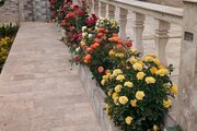 باغ ویلا دو خواب استخردار در اصفهان