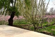 باغ ویلا دو خواب استخردار در ساوجبلاغ