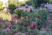 واحد در طبقه همکف ویلای مروارید محمودآباد
