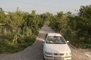 ویلا دوبلکس دوخواب صدرا در شیرگاه