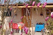سوئیت ویلا جنگلی در فومن