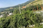 باغ ویلا تکخواب مبله در گردنه حیران آستارا