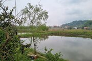 واحد تکخواب سکوت سقالکسار در طبقه دوم ویلای رشت