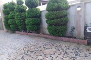آپارتمان مبله دوخواب در بندرانزلی