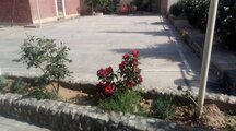 ویلا دو خواب ساوه