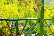 کلبه دوطبقه جنگلی پارسا در تالش