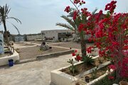 اتاق نخل 1 در بومگردی قشم