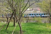 ویلا جنگلی تکخواب مبله در سوادکوه