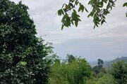 کلبه دو خواب امیر در ماسال