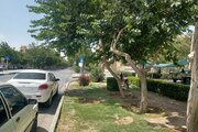 آپارتمان مبله دو خواب گلستان 2 در اصفهان