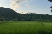 کلبه سوئیسی تکخواب جکوزی دار آیهان در ماسال