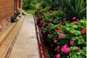 ویلا چوبی شباهنگ در ماسال