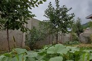 ویلا تکخواب مبله نازلی در چلاو آمل