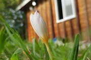 کلبه جنگلی 2 شیروان در ماسال