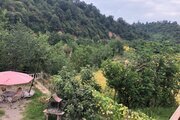 کلبه دوبلکس استخردار تکخواب جنگلی کاج در اسالم