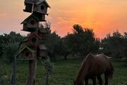 باغ ویلا تکخواب مبله 2 در منجیل