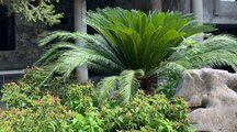 ویلا دوبلکس یک خواب در نوشهر