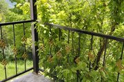 واحد تکخواب در طبقه اول ویلا دلباز در سوادکوه