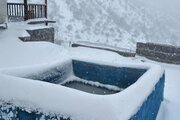 ویلا شوکا آلاشت سوادکوه