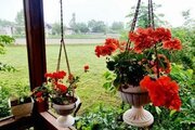 ویلا دو طبقه چوبی خاطره وشمه سرا در ماسال