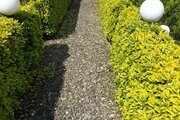 خانه ویلایی دو خواب در چابکسر