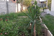ویلا مانیا یک خواب در ساری