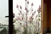 آپارتمان مبله دوخواب شادی در کلاردشت