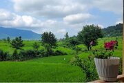 کلبه سوئیسی دوبلکس مبله آوای باران در ماسال