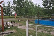 کلبه شماره 1 در مجموعه تفریحی گردشگری جنگل کنار