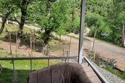 کلبه چوبی تکخواب مبله در ماسال