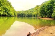 آپارتمان مبله تک خواب در ساری
