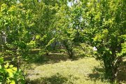 کلبه سوئیسی 40 متری جاکو1 در رشت