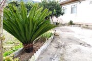 ویلا مبله تکخواب آرام در رودسر