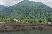 ویلا جنگلی صابر در ماسال