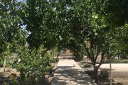 ویلا دو خواب استخردار در مشهد