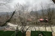 کلبه سوئیسی جنگلی جکوزی دار دوخواب شالما 1 در ماسال