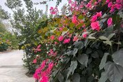 آپارتمان مبله دوخواب با صفا در رامسر