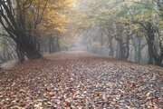 واحد دو خواب در طبقه اول ویلا بابل