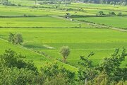 واحد طبقه اول ویلا در سوادکوه